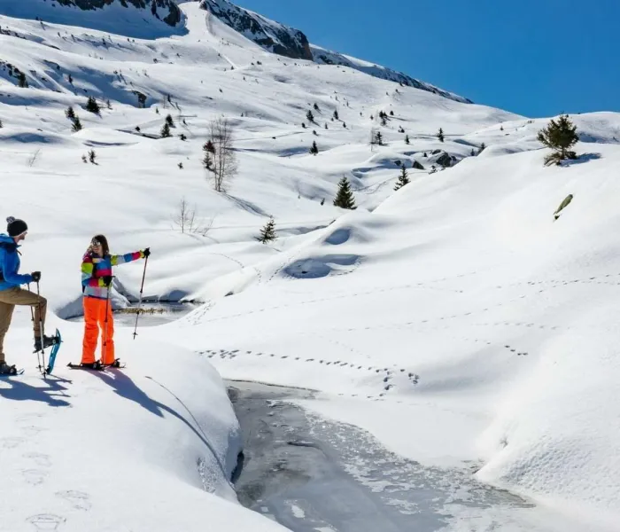 Randonnée en raquettes en Oisans, au cœur des paysages enneigés des Alpes