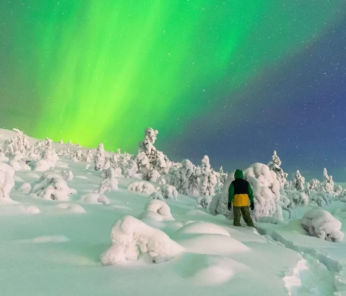 Homme observant des aurores boréales dans un paysage enneigé en Laponie