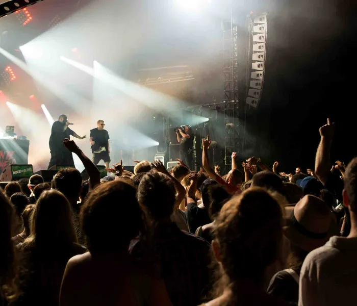 Foule en concert au festival rock Rock en Seine à Paris en France