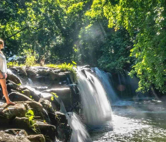 Cascade dans la forêt tropicale à l’île Maurice avec randonneuse