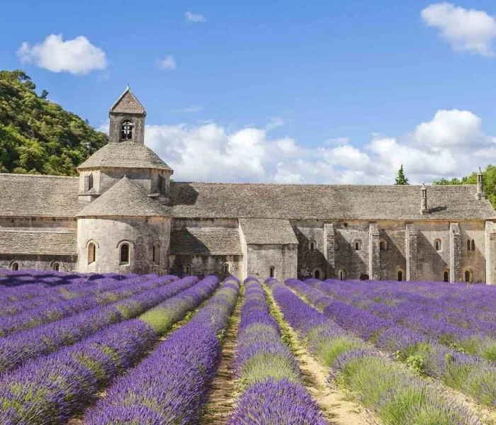 Abbaye de Sénanque entourée de champs de lavande, l’une des plus belles abbayes de France à visiter