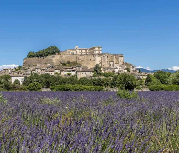 Vue de Grignan et de son château au milieu des champs de lavande, en Drôme provençale.