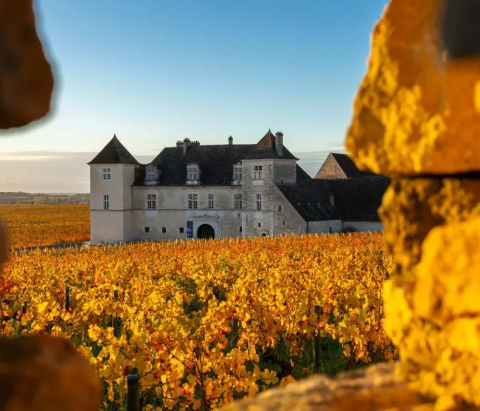Château du Clos de Vougeot en automne au milieu des vignobles de Bourgogne