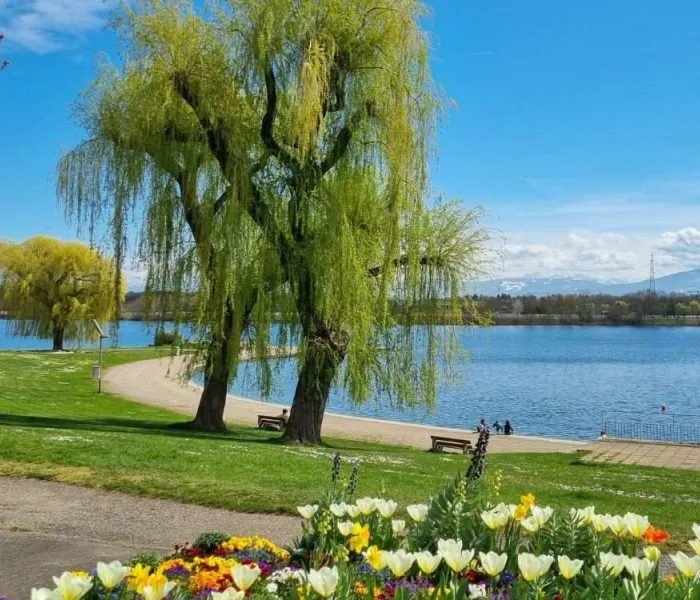 Lac de Divonne-les-Bains et ses espaces verts