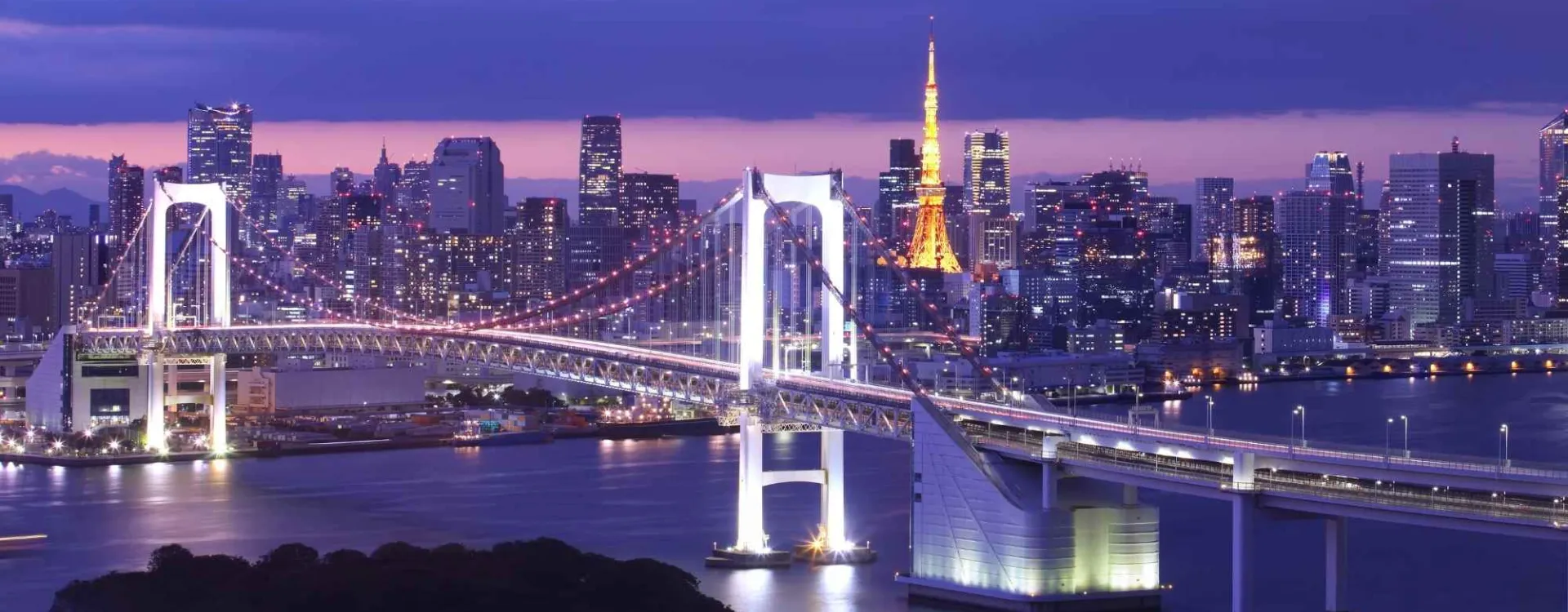 Une vue de nuit de la baie de Tokyo.