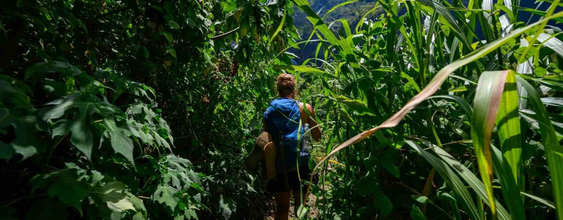 Découvrez les meilleures choses à faire à la Réunion.