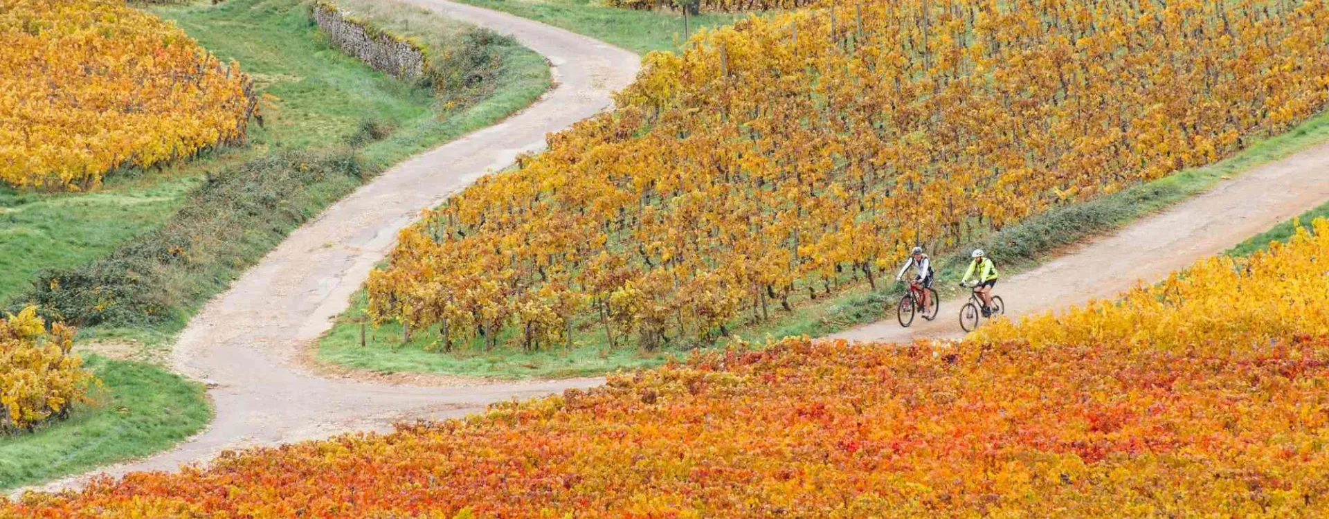 Les plus belles routes à faire à vélo en Bourgogne.