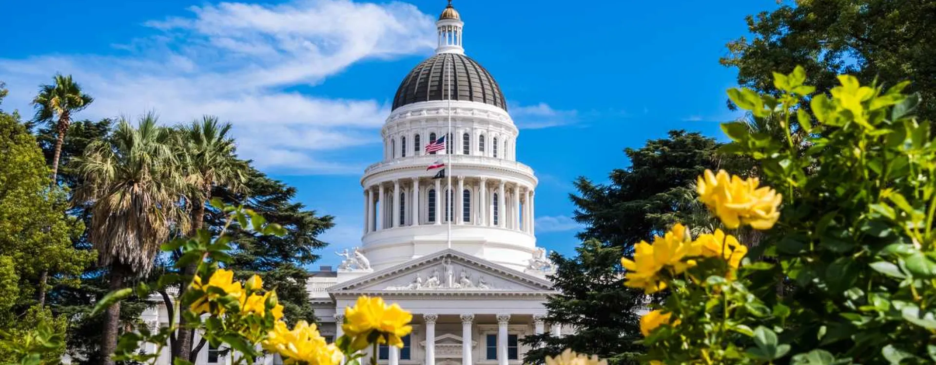 La ville de Sacramento en Californie.