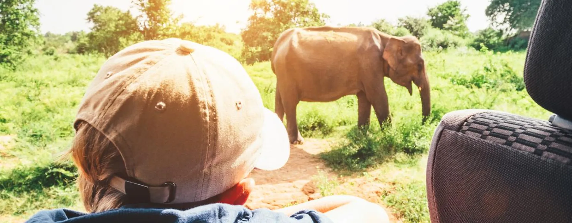 Découvrez tous nos conseils pour voyage en famille au Sri Lanka.