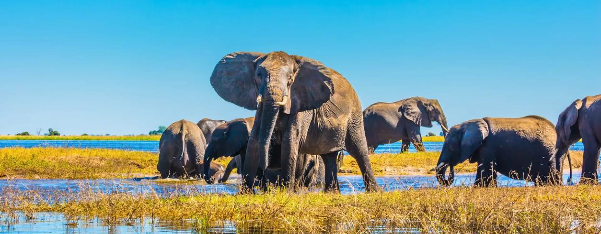 Le Botswana en Afrique.