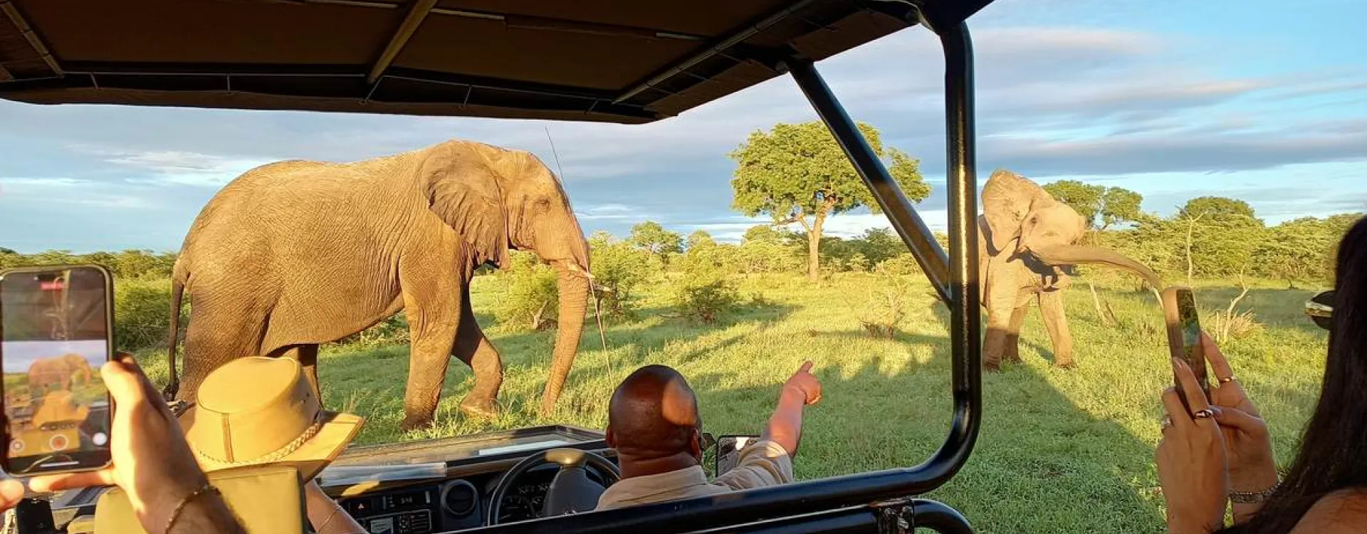 Découvrez tous nos conseils pour organiser votre safari en Afrique du Sud.