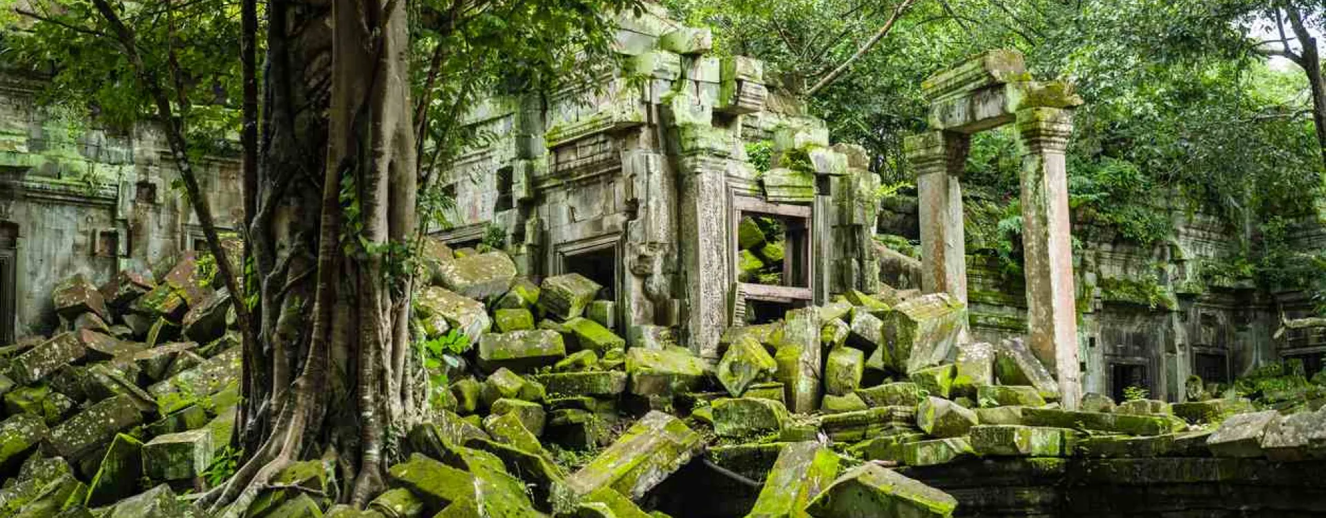 Temple de Beng Mealea, ruines envahies par la jungle à Angkor, Cambodge