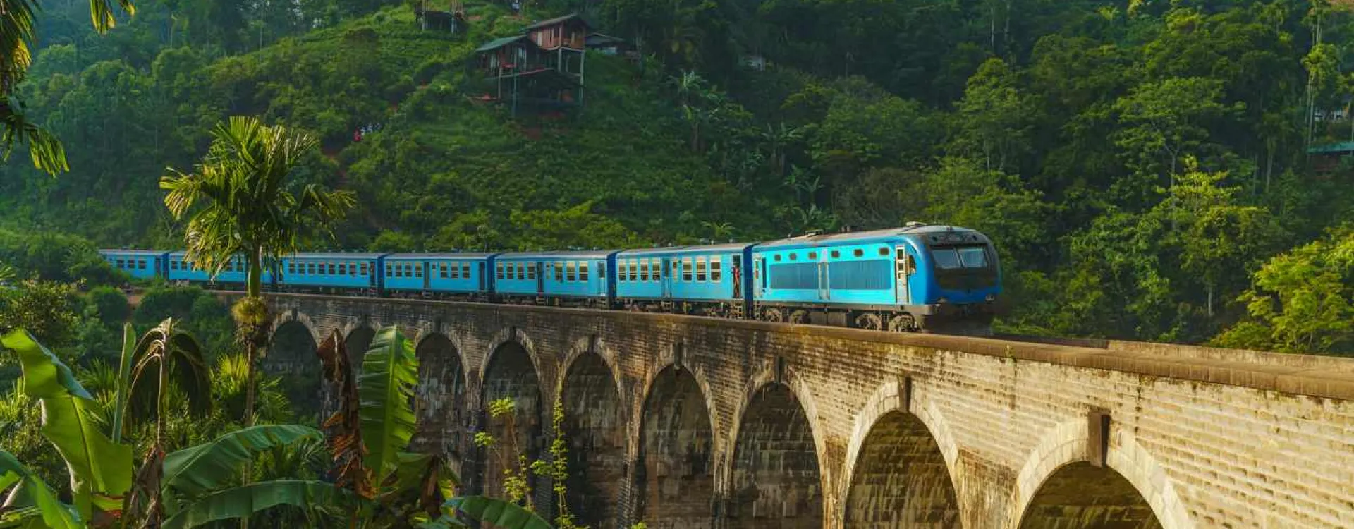 Un circuit de 10 jours au Sri Lanka.