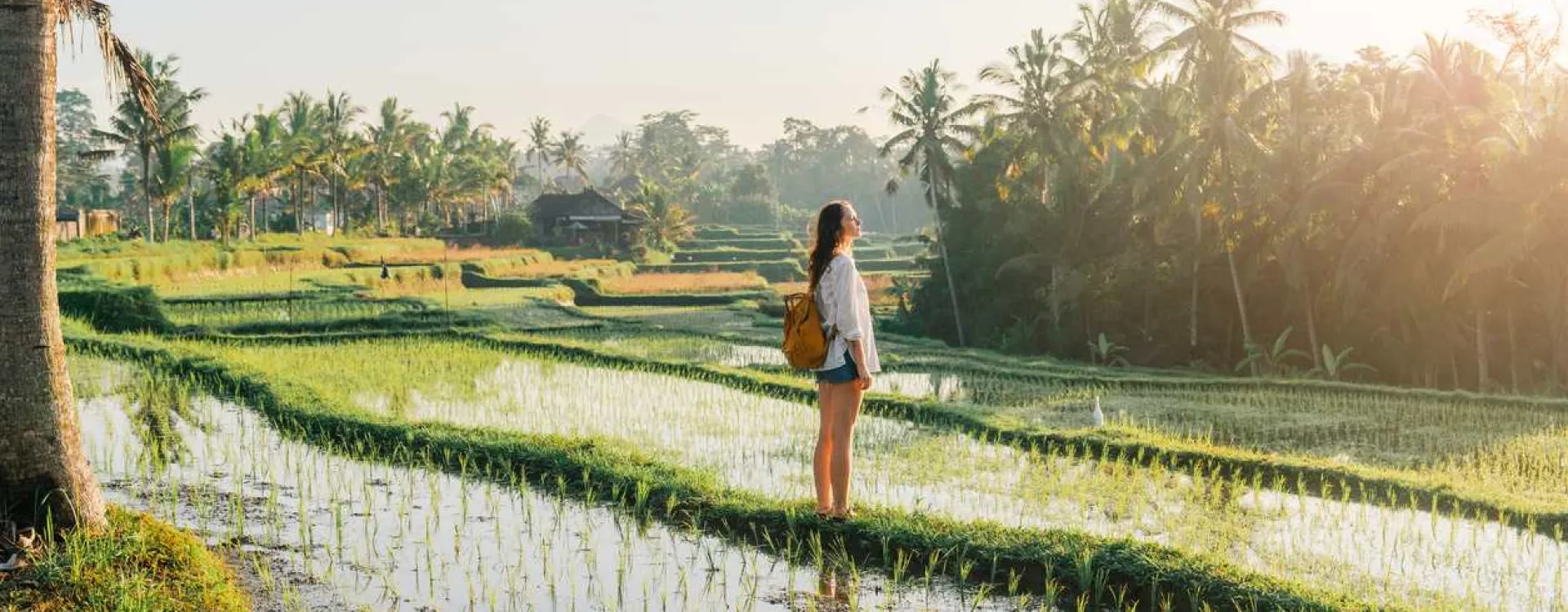 Découvrez nos conseils avant de visiter Bali.