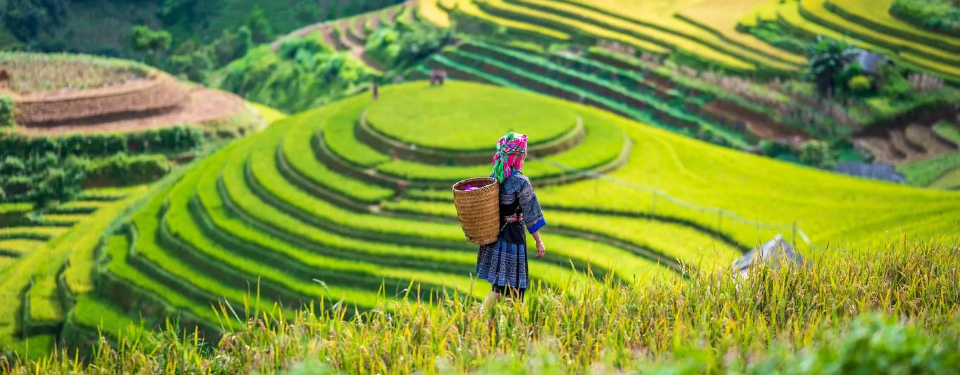 Découvrez notre guide pour préparer votre découverte de Sapa, Vietnam.