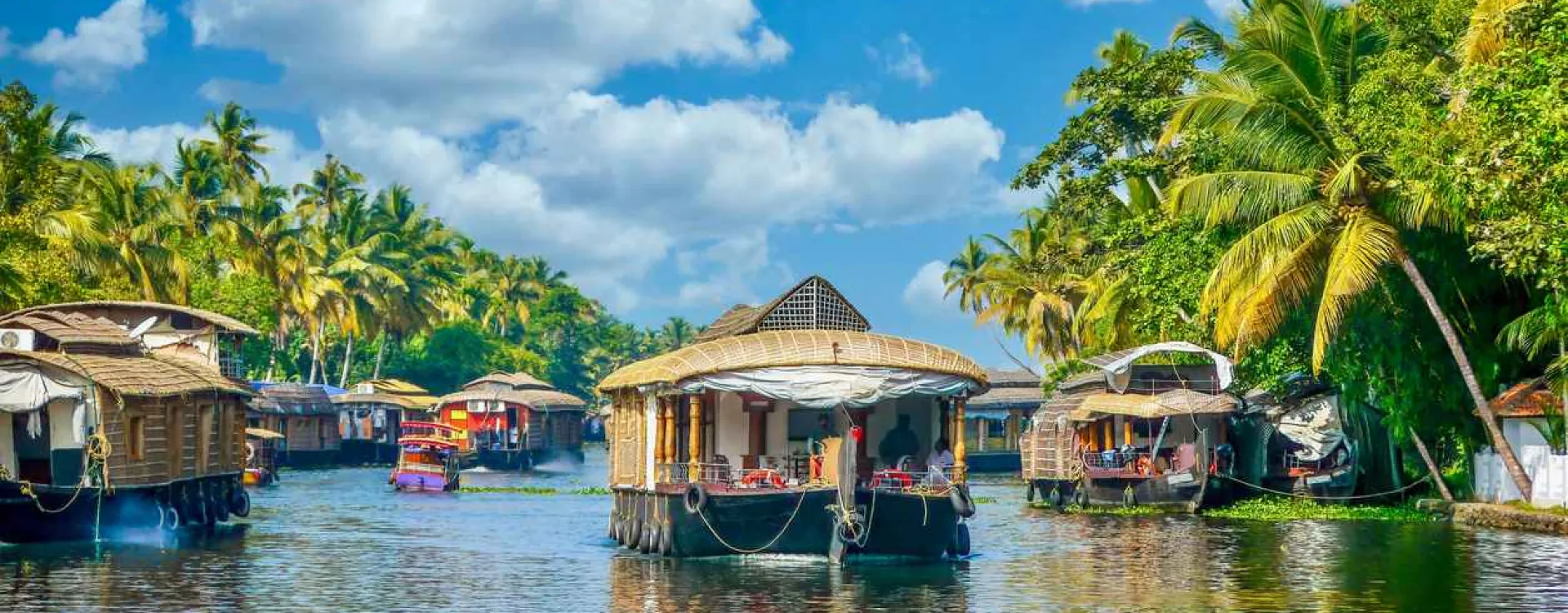 Découvrez les meilleures activités à faire au Kerala.