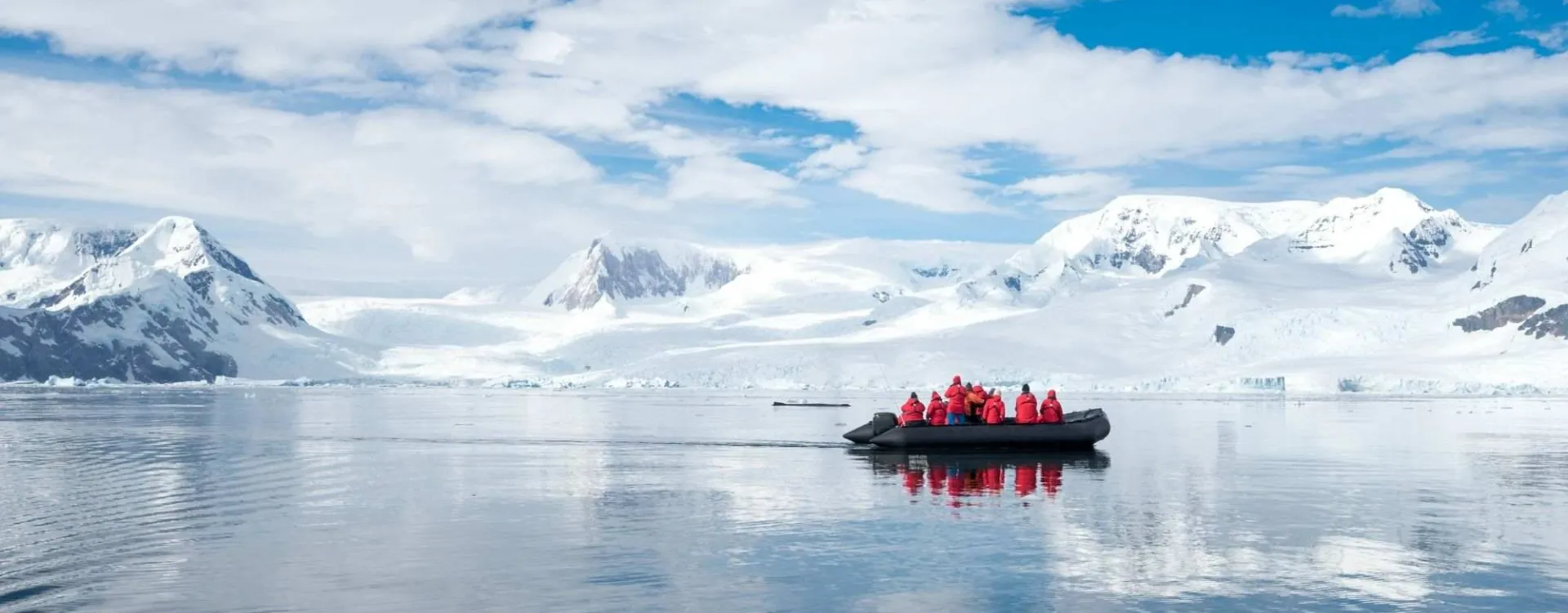 Touristes observant baleines et phoques depuis un zodiac en Antarctique, péninsule Antarctique