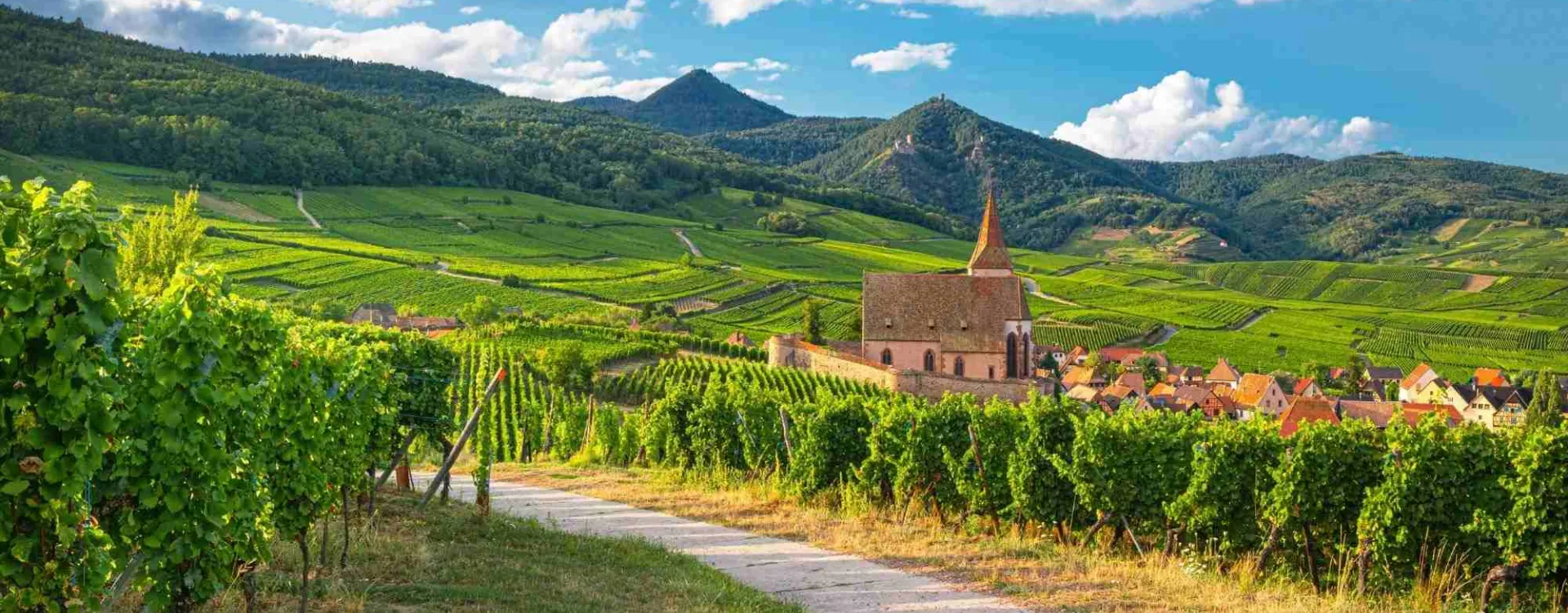 Vue panoramique du village viticole de Hunawihr et de son église au cœur des vignobles d’Alsace, France