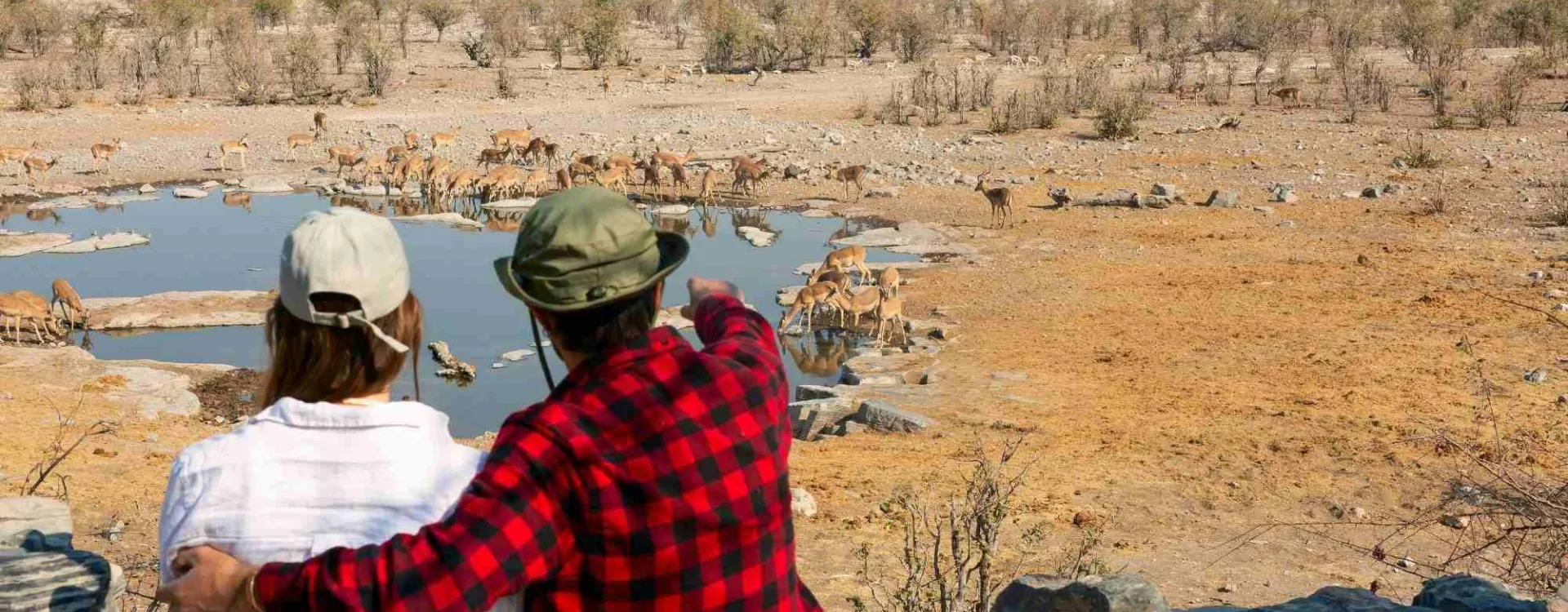 Voyageurs observant des éléphants autour d’un point d’eau lors d’un safari dans le parc national d’Etosha en Namibie