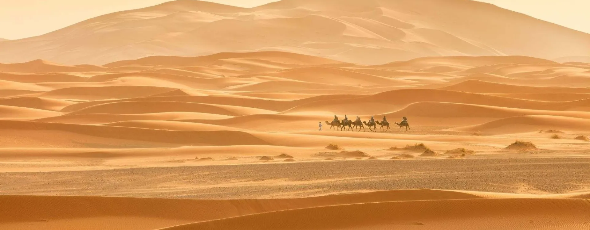 Caravane traversant les dunes du désert du Sahara au Maroc