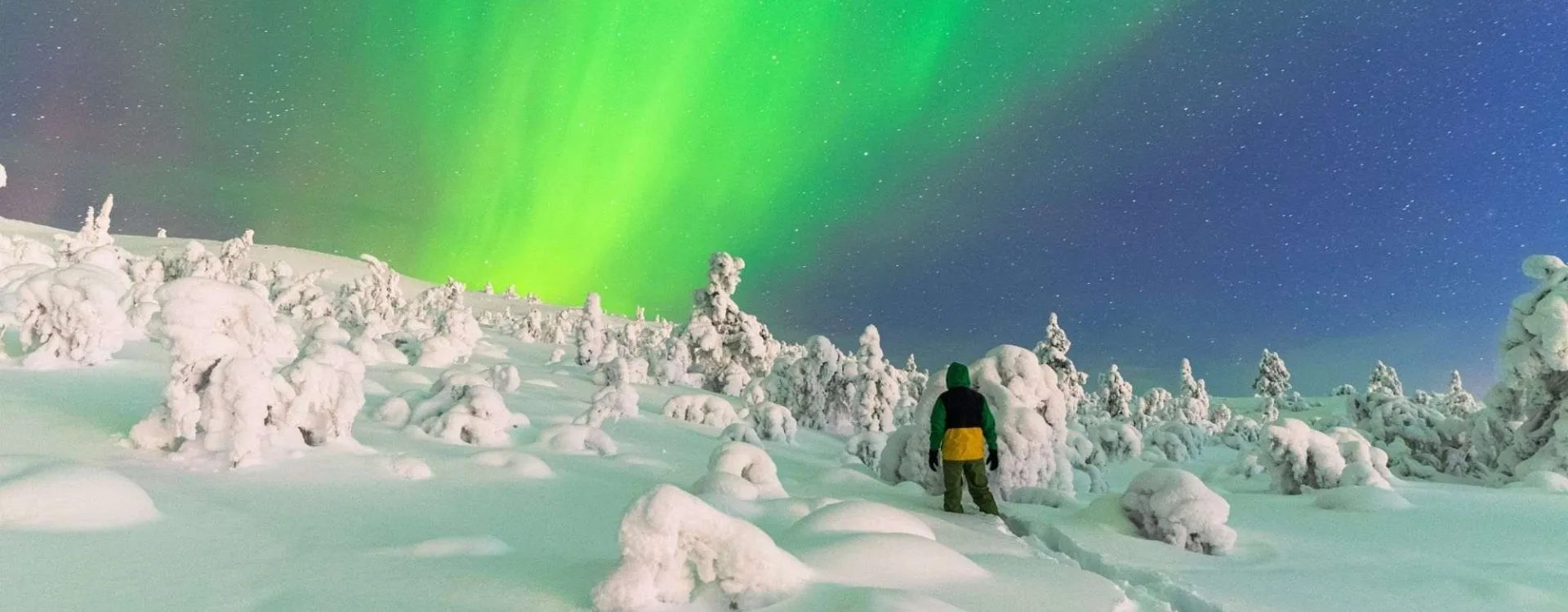 Homme observant des aurores boréales dans un paysage enneigé en Laponie
