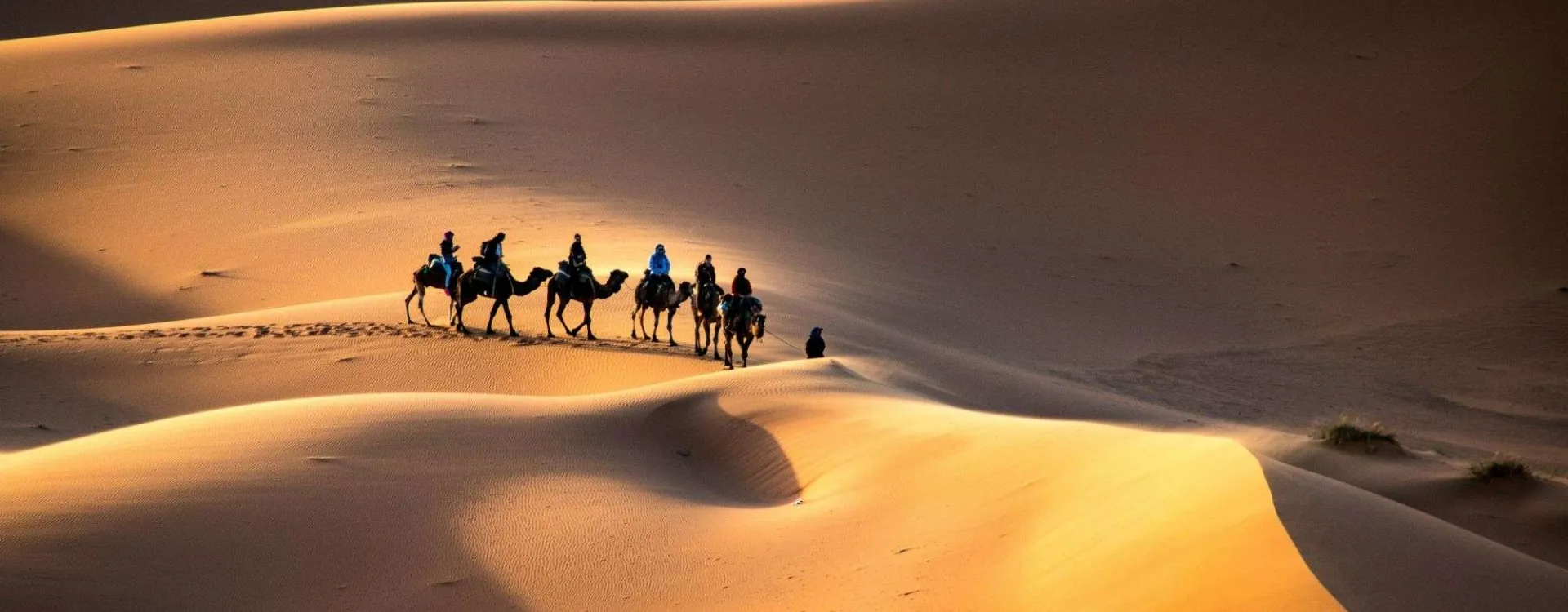 Caravane de dromadaires traversant les dunes dorées de l’Erg Chebbi près de Merzouga, désert du Sahara, Maroc