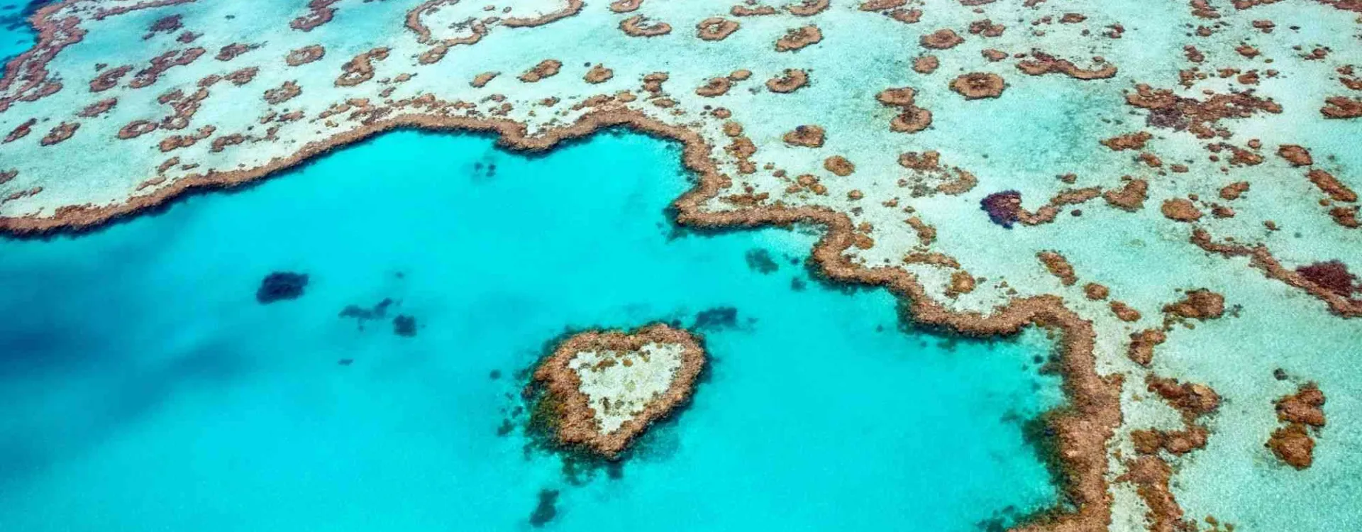 Vue aérienne de la Grande Barrière de corail en Australie, avec ses récifs coralliens colorés et ses eaux turquoise