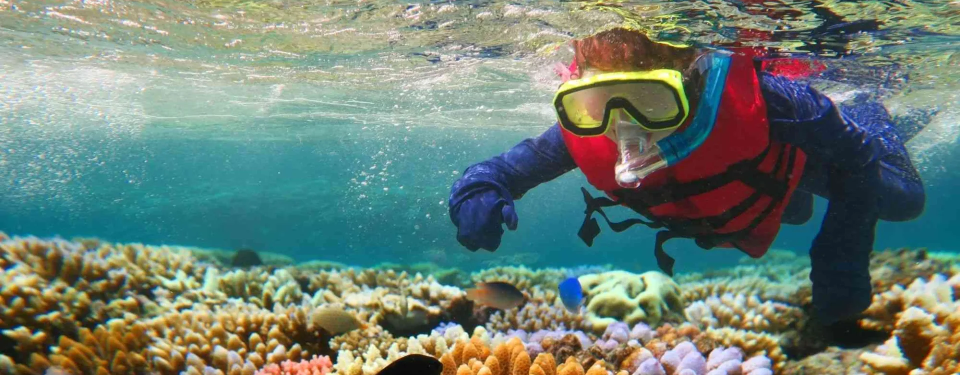 Enfant faisant un baptême de plongée avec masque et tuba dans la Grande Barrière de corail en Australie