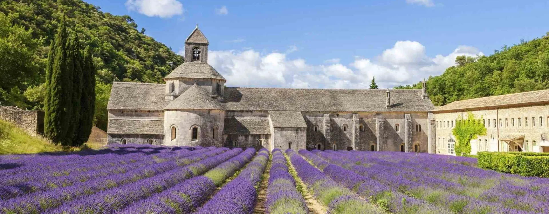 Abbaye de Sénanque entourée de champs de lavande, l’une des plus belles abbayes de France à visiter