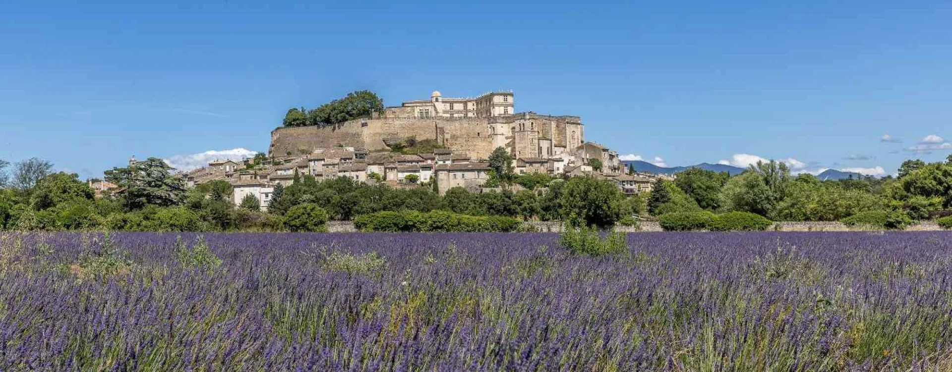 Vue de Grignan et de son château au milieu des champs de lavande, en Drôme provençale.