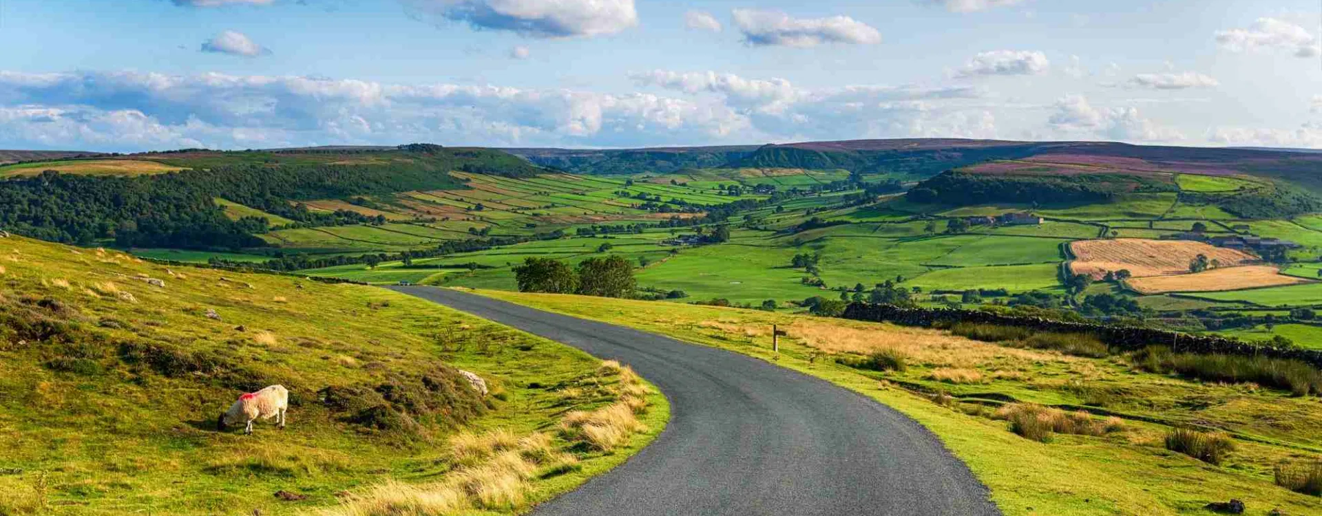 Route panoramique à travers la campagne anglaise illustrant les plus beaux road trips d'Angleterre