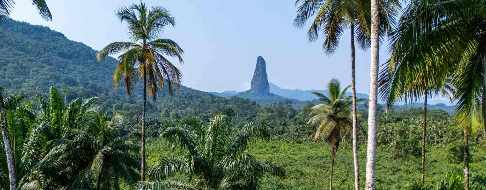 Paysage tropical de São Tomé-et-Príncipe avec le Pico Cão Grande