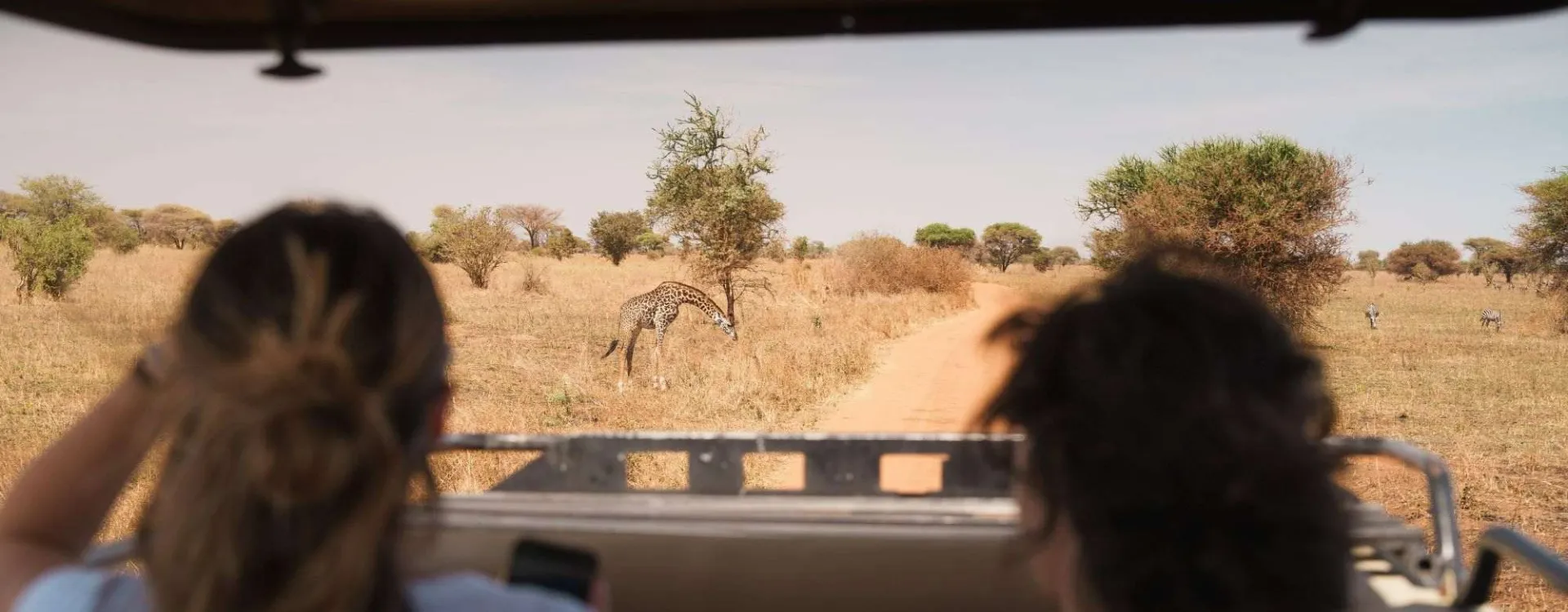 Safari en Tanzanie : voyageurs observant une girafe depuis un 4x4 dans la savane