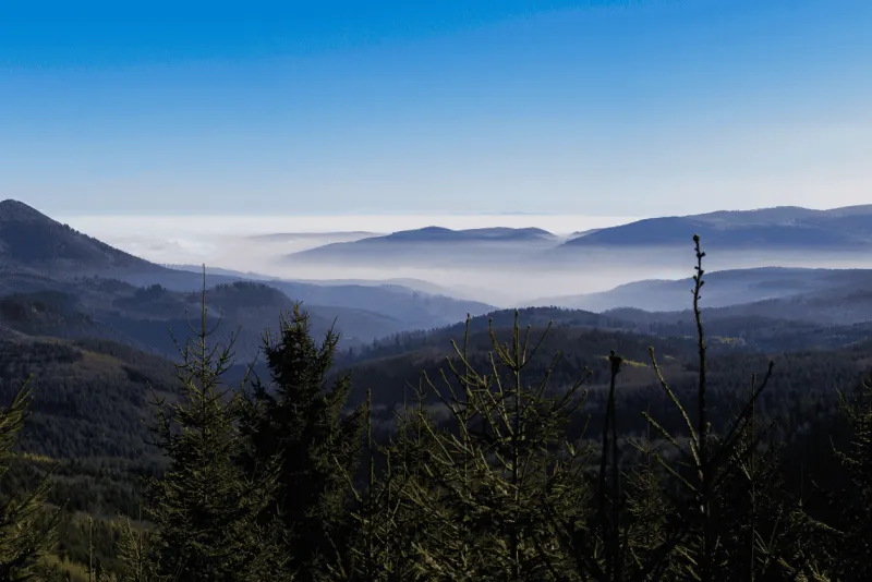 La forêt domaniale du Donon en Alsace.