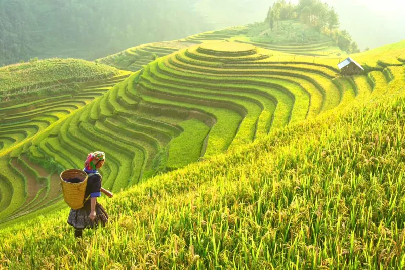 Rencontrez les minorités ethniques du Vietnam dans les environs de Sapa.