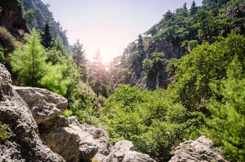 Les gorges d’Agia Irini offrent une randonnée ombragée et tranquille jusqu’à Sougia.
