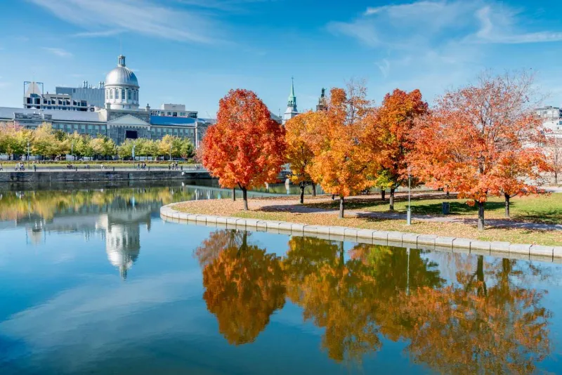 L'automne est l'une des meilleures saisons pour découvrir Montréal.