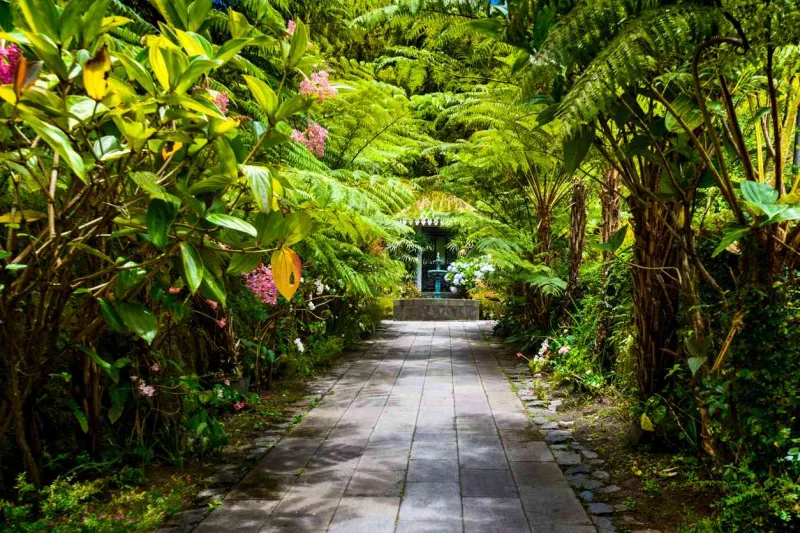 Le superbe jardin de la Maison Folio.