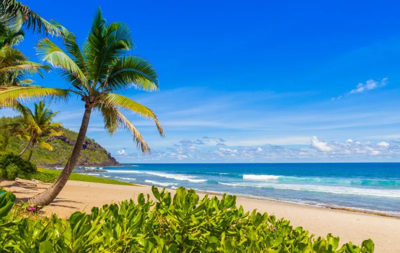 La plage de Grande Anse est bordée de cocotiers et de sable blanc.