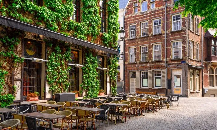 Anvers séduit aussi par sa gastronomie, des bistrots conviviaux aux tables étoilées renommées.