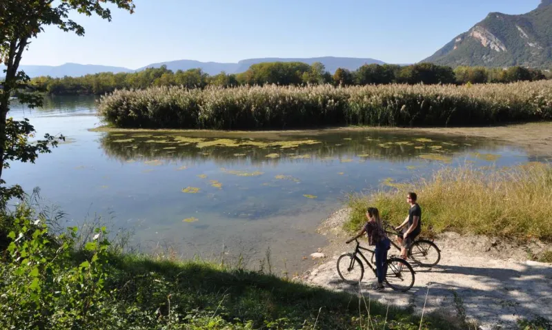 Offrez-vous une échappée à VTT au cœur des marais de la Chautagne.