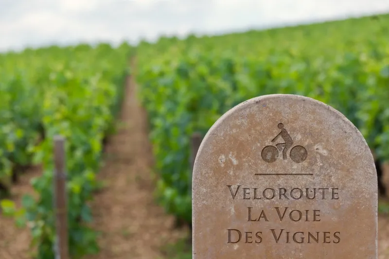 La voie des vignes traverse les plus grands vignobles de Bourgogne.