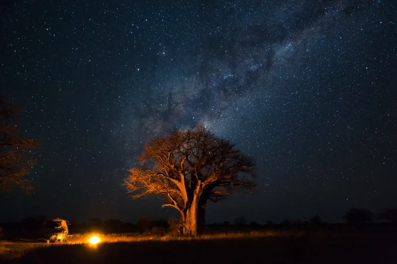 Au Botswana, les safaris en 4x4 et en autonomie offrent une liberté totale.
