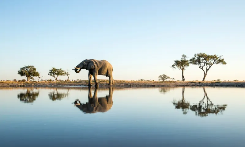 Depuis quelques années, le Botswana mise sur un tourisme écologique.
