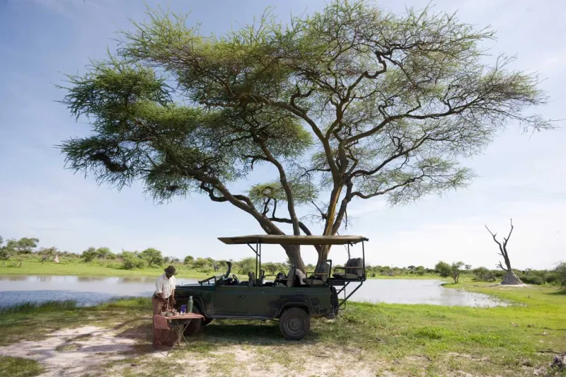 Le Botswana offre des safaris exclusifs au cœur d’une nature sauvage et intacte.