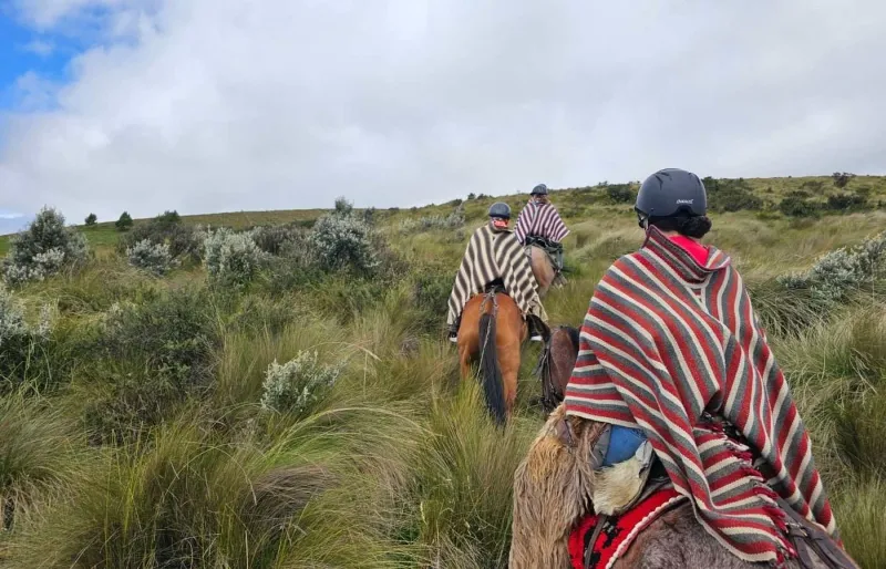 Partez à la rencontre des cavaliers équatoriens dans les Andes.