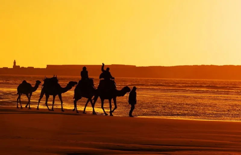 Réputée pour ses vagues, Essaouira séduit également par ses magnifiques couchers de soleil.