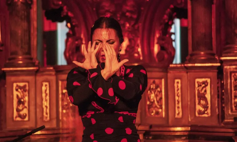 Assister à un spectacle de flamenco est une activité incontournable à Cadix.