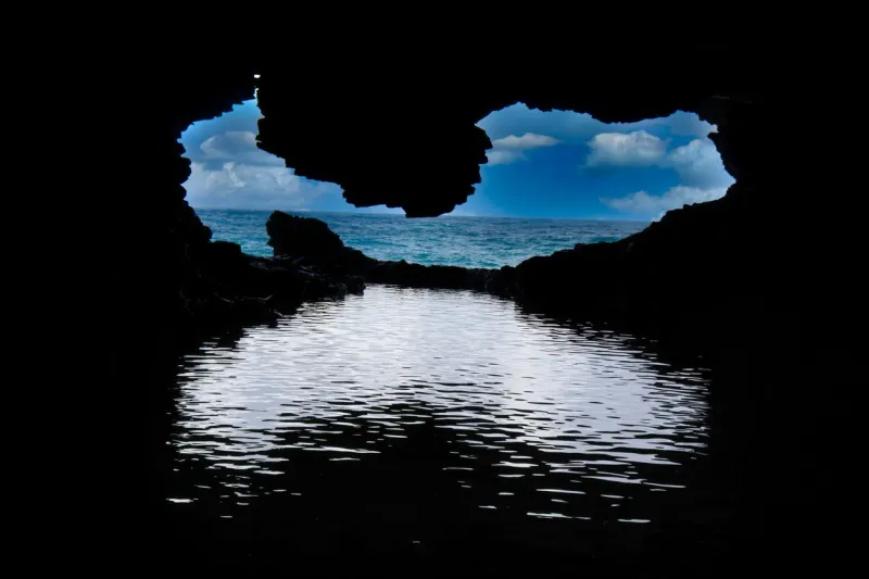 L'Animal Flower Cave à la Barbade.