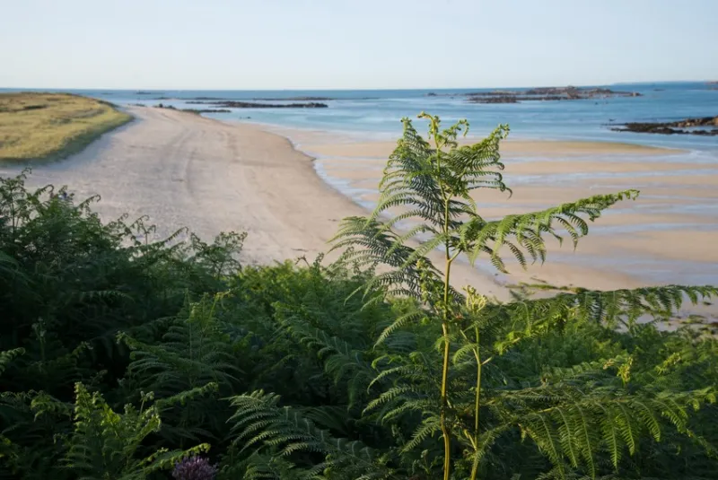 La plage de Shell Beach, sur l'Ile de Herm.